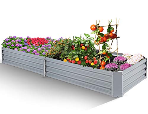 Galvanized Raised Garden Bed Metal Elevated Planter Box Kit for Outdoor Vegetable Flower Herb Rectangular Steel Bottomless Frame Gardening Protection Patio Decoration (Gray 8x3x1ft 1pack)